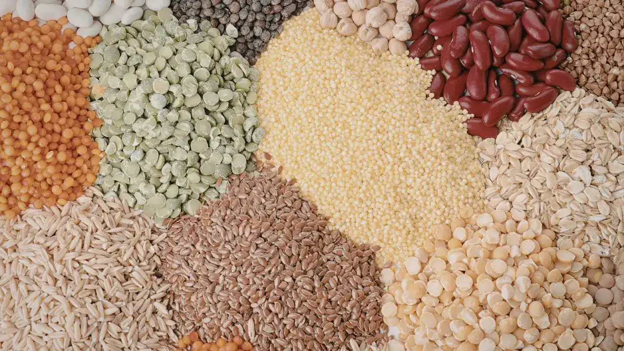 Baklagillerde Doğal Lektin Uyarısı: Bakanlıktan Rehber 5